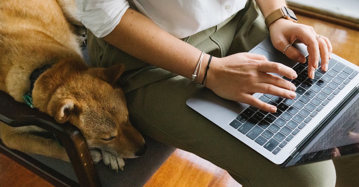 Make Trashcan Carla friendly again using commands - Crop unrecognizable woman working on laptop near adorable dog