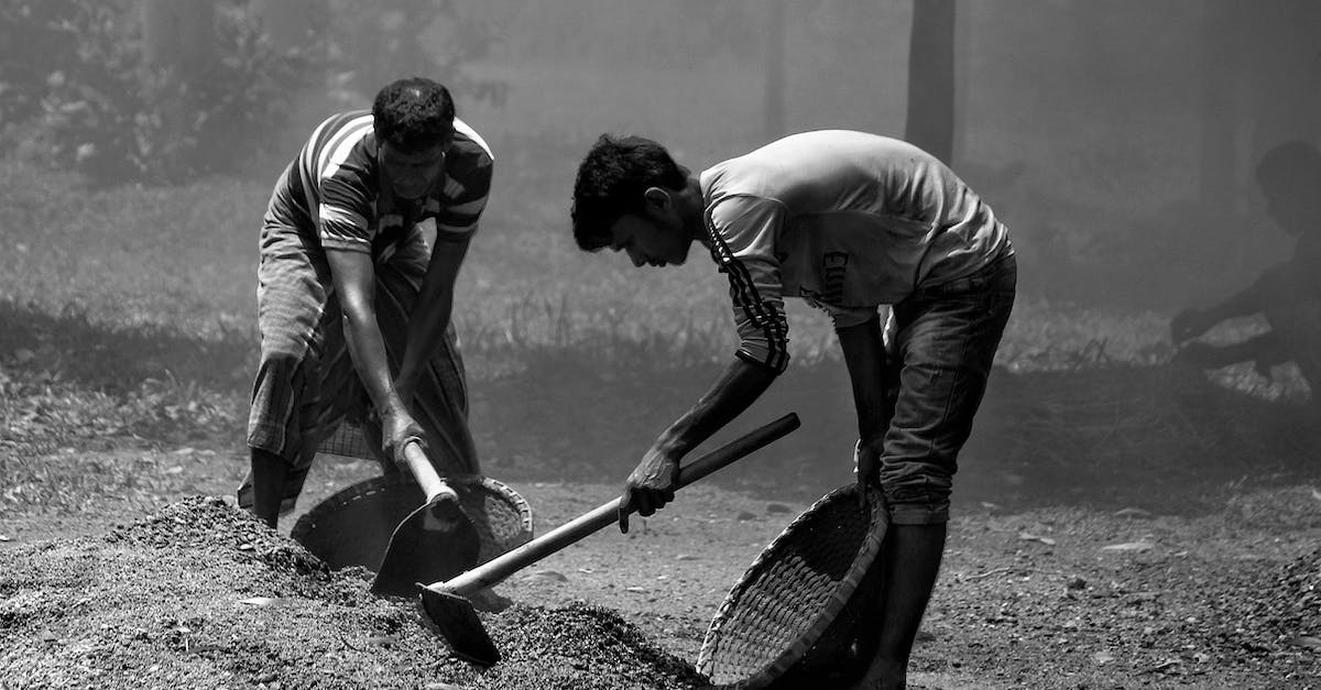 Manual save missing, only autosave available - Free stock photo of action, actor, adult Manual save missing, only autosave available - Free stock photo of action, actor, adult