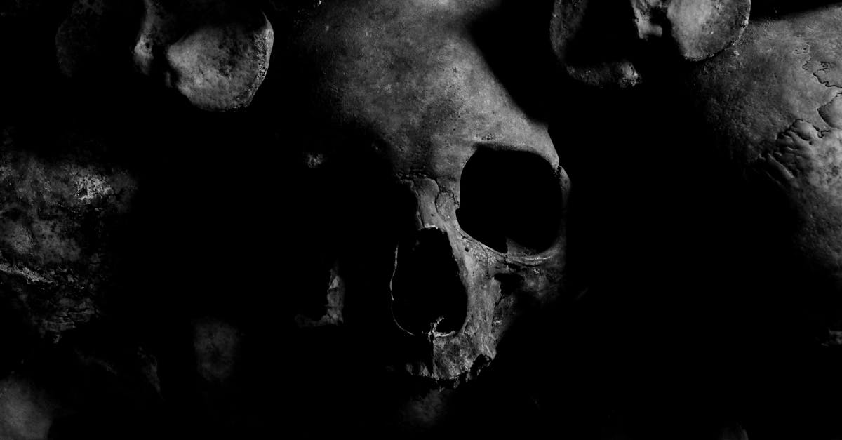 Marked for Death and the Valley of Death Rune - Close-up Photo of Skull