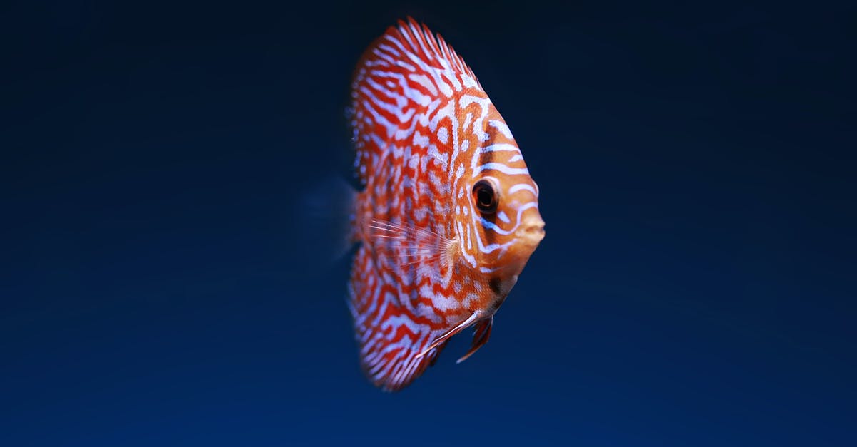 Meaning of triangle with eye in "Life Is Strange" - Pink Discuss Fish Meaning of triangle with eye in "Life Is Strange" - Pink Discuss Fish