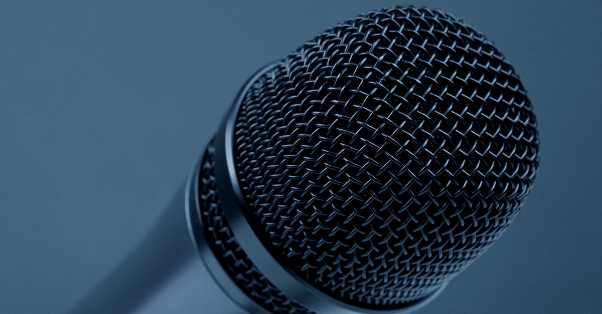 Microphone options greyed out - Close-up Photography of Black and Gray Condenser Microphone
