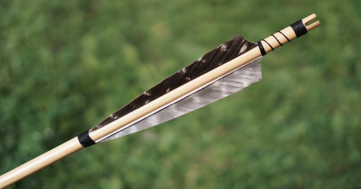 Min and max bow + arrow damage - Arrow Feather Stock Selective Focus Min and max bow + arrow damage - Arrow Feather Stock Selective Focus