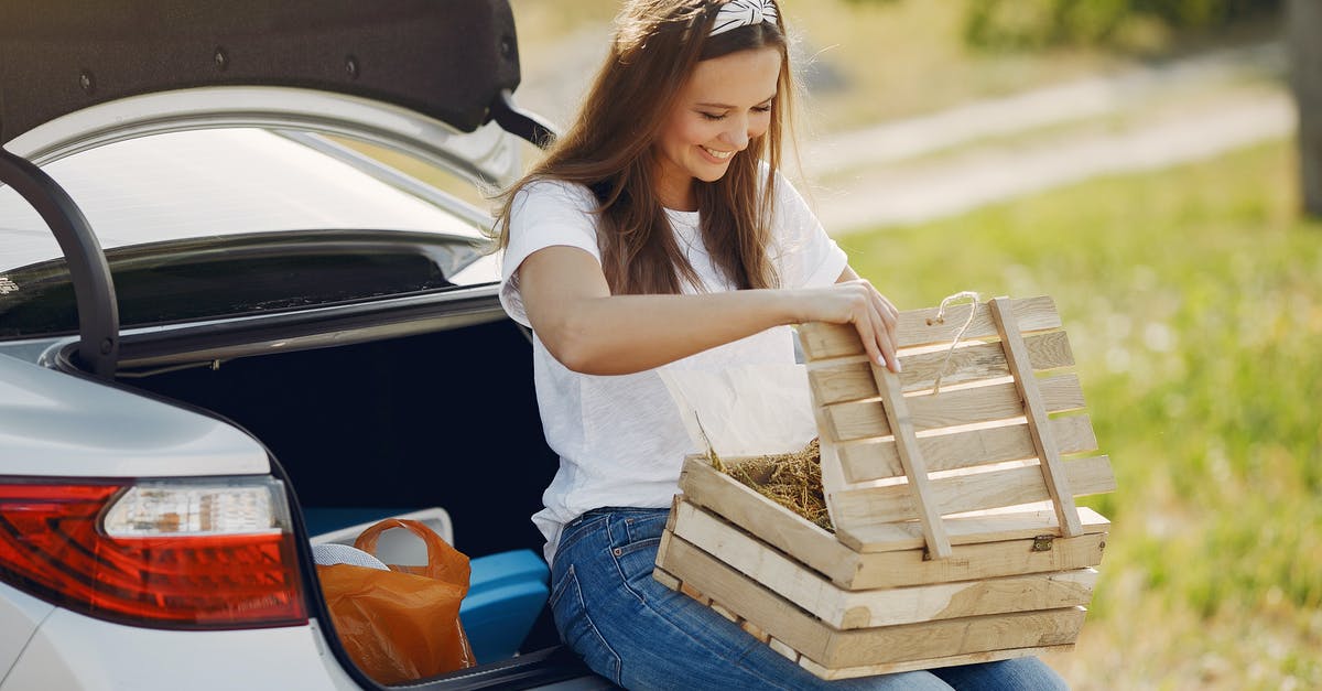 Minecart with hopper doesn't collect items - Smiling young woman with wooden box near automobile during car travel in nature Minecart with hopper doesn't collect items - Smiling young woman with wooden box near automobile during car travel in nature