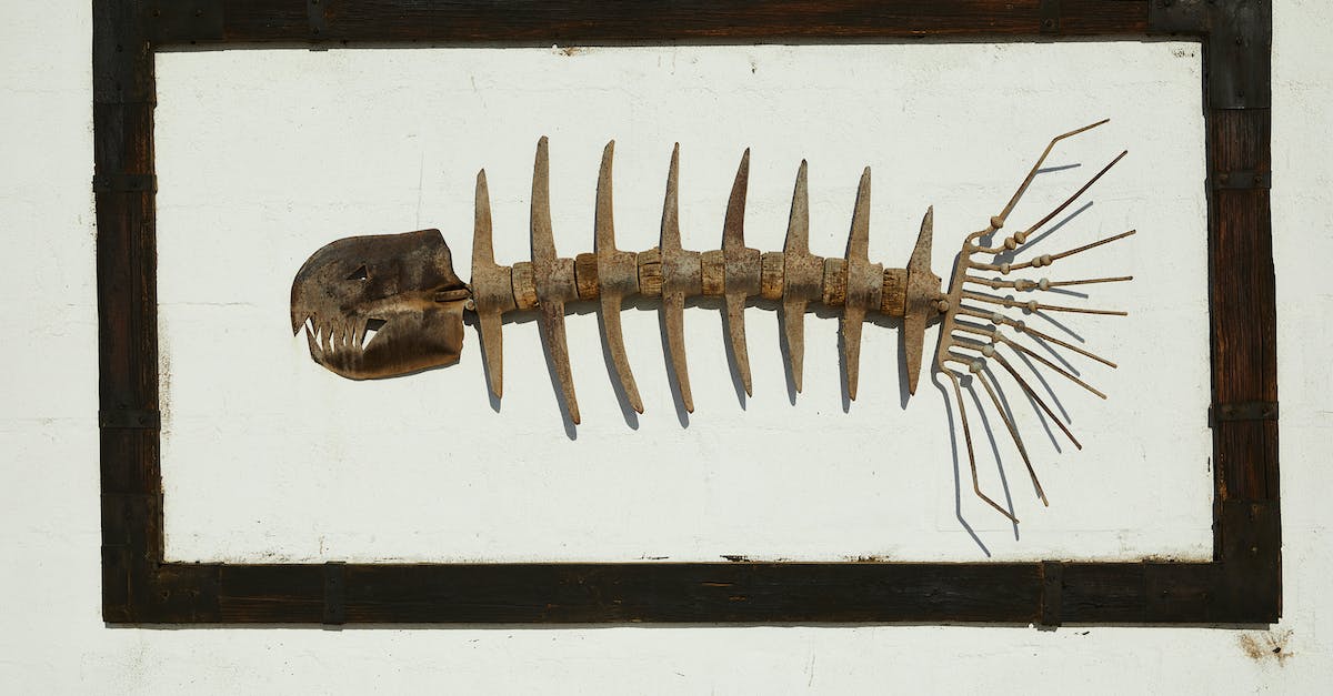 Minecraft - Weird spawning behaviour - Handmade skeleton of predatory fish with sharp teeth in black frame hanging on wall
