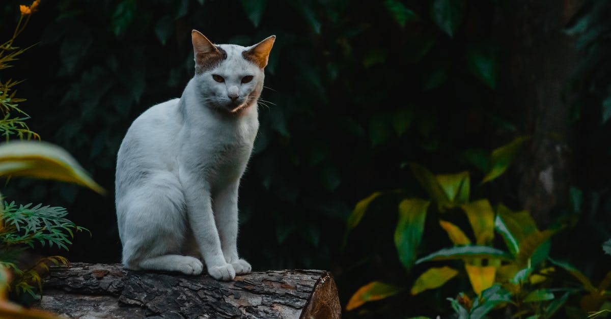 Minecraft all logs? [closed] - 