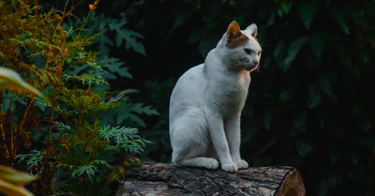 Minecraft all logs? [closed] - 