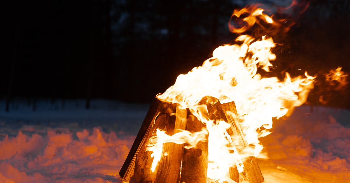 Minecraft all logs? [closed] - Close-Up Shot of Burning Logs