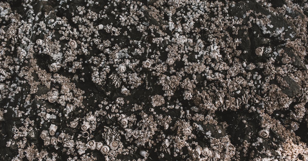 Minecraft black terrain and texture bug - Dry rocky geological material of dark color