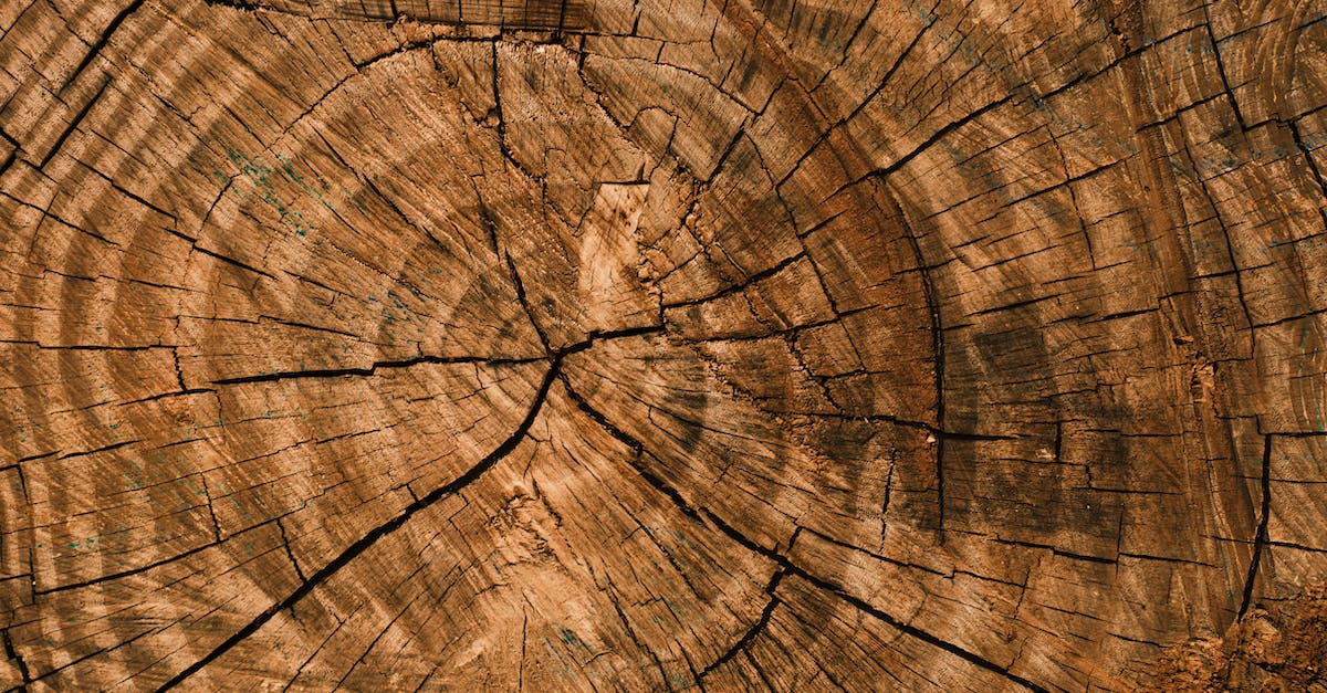 Minecraft commands: server log in titles [duplicate] - texture of an old tree