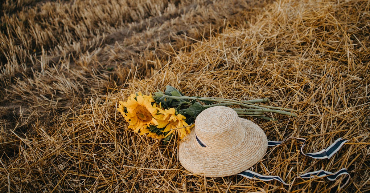 Minecraft Guardian Farm Spawnrate - Brown Hat on Brown Wheat Field Minecraft Guardian Farm Spawnrate - Brown Hat on Brown Wheat Field