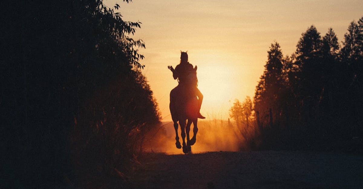Minecraft: Is there a way to activate command blocks even if you're not within range? [duplicate] - Horse rider on road in countryside at sunset