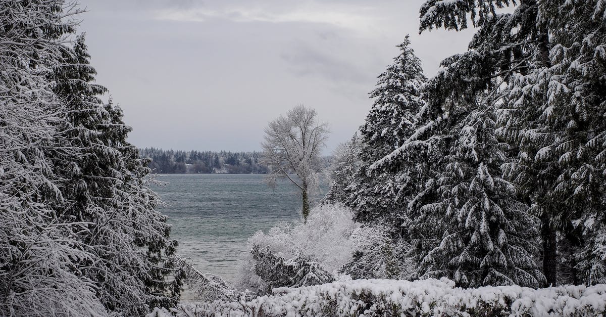 Minecraft LAN world fails to load Player 2 without freezing him - The Ocean beyond the Snow Covered Trees Minecraft LAN world fails to load Player 2 without freezing him - The Ocean beyond the Snow Covered Trees