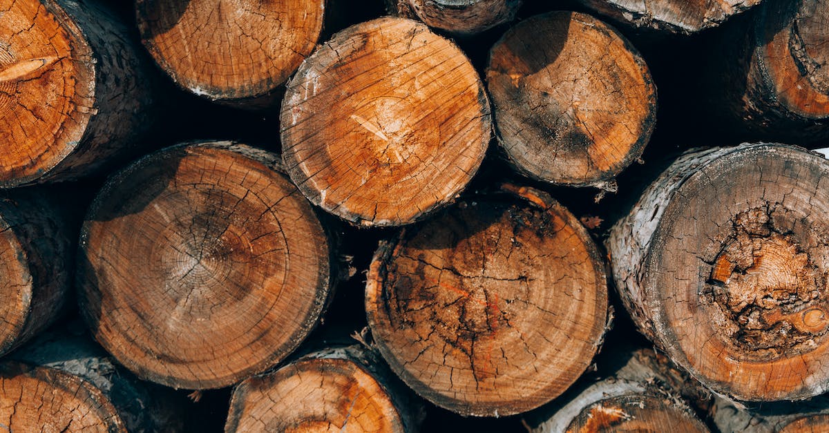 Minecraft Log in Troubles - Brown and Black Wood Logs