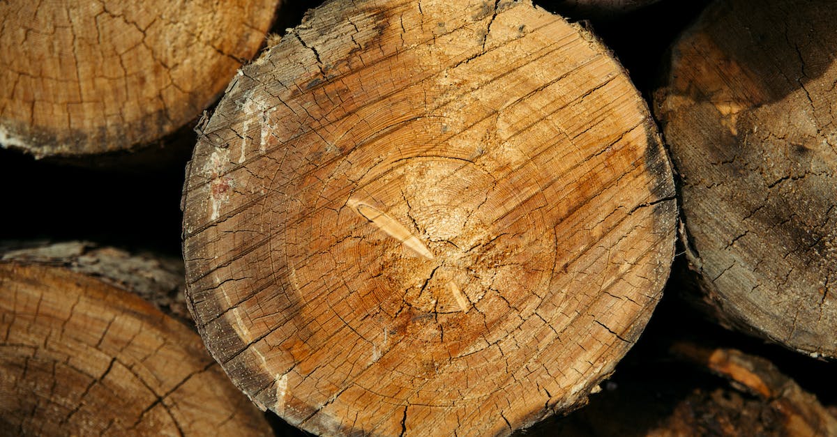 Minecraft Log in Troubles - Brown Wood Log in Close Up Photography Minecraft Log in Troubles - Brown Wood Log in Close Up Photography