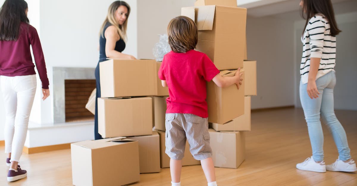 Minecraft nether portal relocation - Free stock photo of box, cardboard, carton