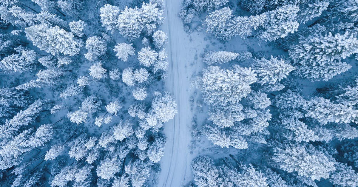 Minecraft: Prevent snow from accumulating around - Aerial Photography of Snow Covered Trees