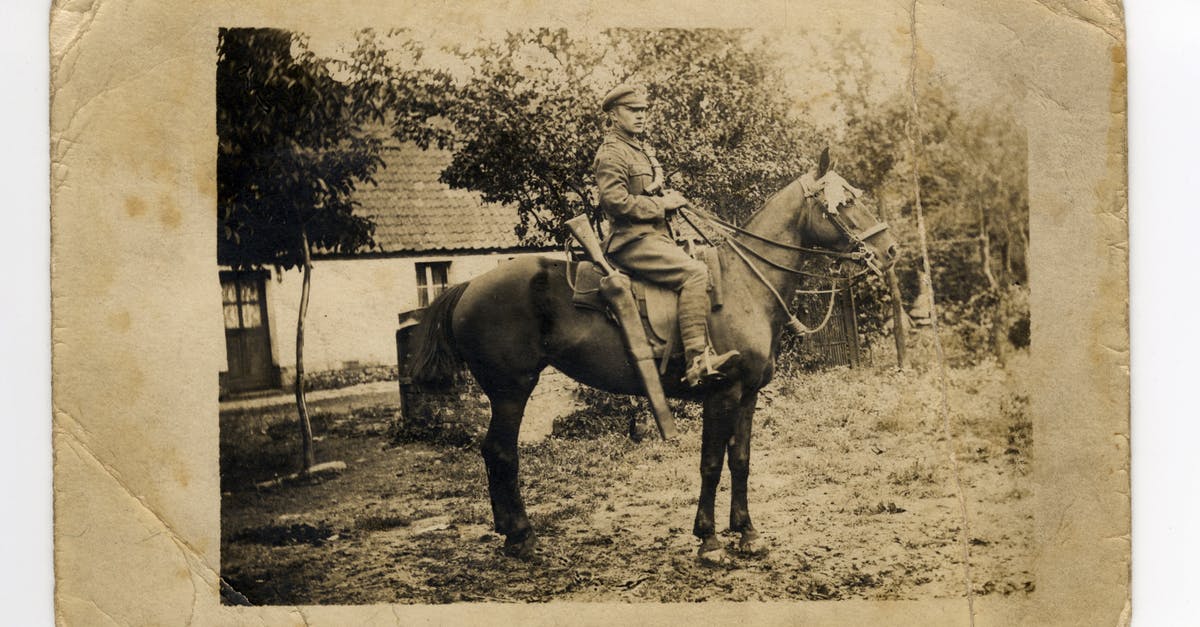 Minecraft servers are not being scanned [duplicate] - Sepia Photo of Man Riding a Horse