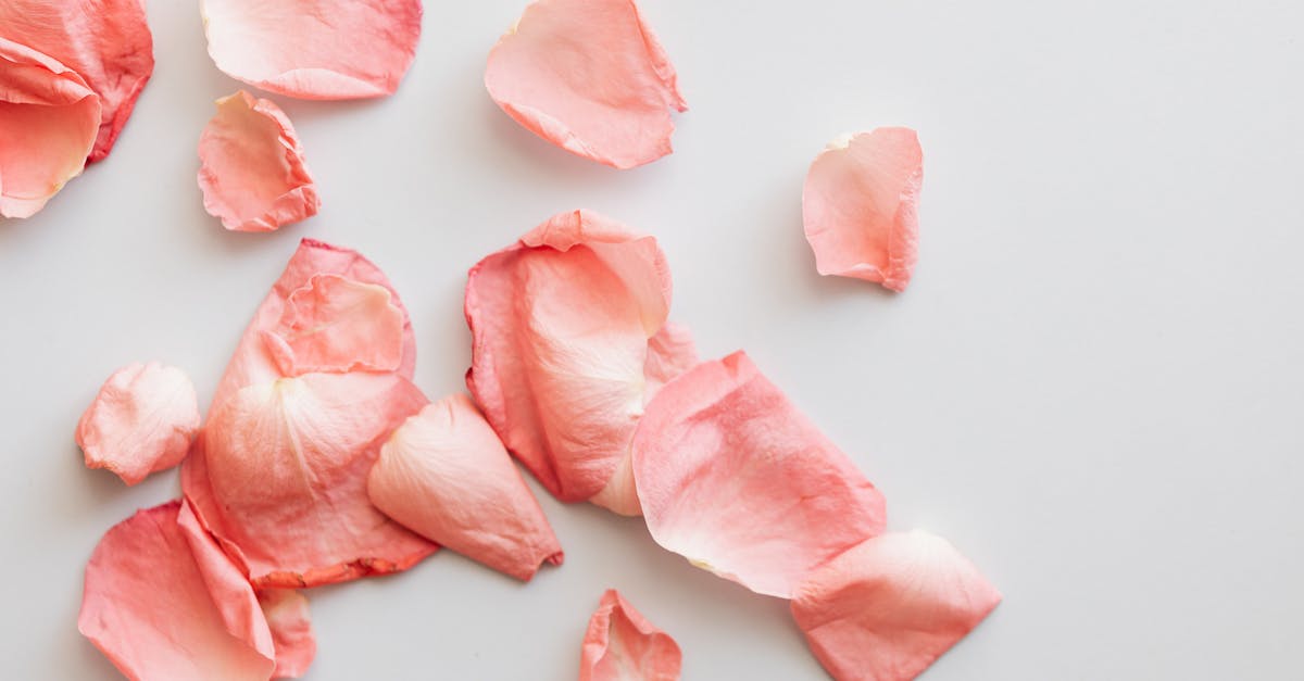 Minecraft Spigot Java Crashes at random times [closed] - Heap of petals on white background