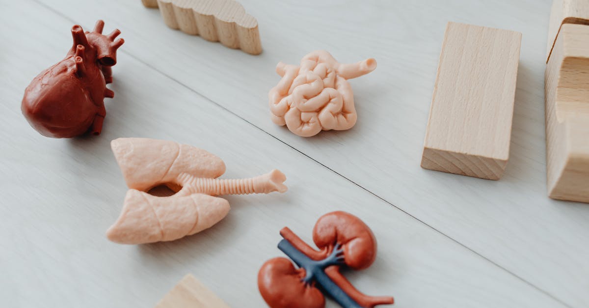 Minecraft Summing Blocks/Skulls - Brown Wooden Star Shaped Cookie and Red Tomato