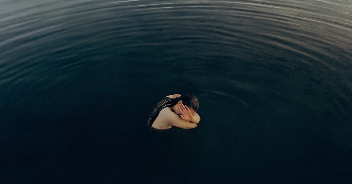 Minecraft, summon without ~ - White Swan on Body of Water Minecraft, summon without ~ - White Swan on Body of Water