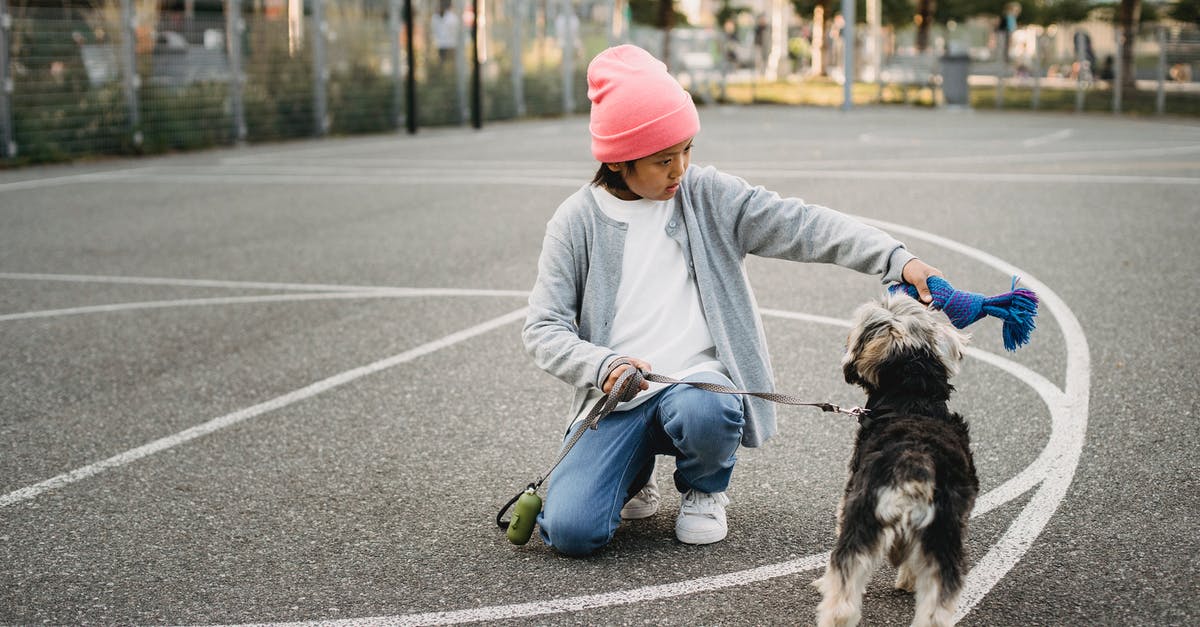 Minecraft timed command - Ethnic kid showing command to intelligent dog while squatting on asphalt pavement in city Minecraft timed command - Ethnic kid showing command to intelligent dog while squatting on asphalt pavement in city