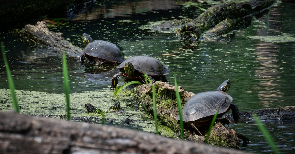 Minecraft Update, change logs - 