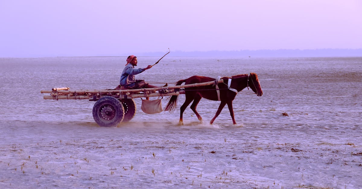 Minecraft Villager not breeding and villagers not moving - Man riding card in sandy desert