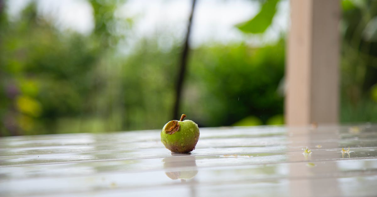 Minecraft went small [duplicate] - Close-up of a Small Green Fruit