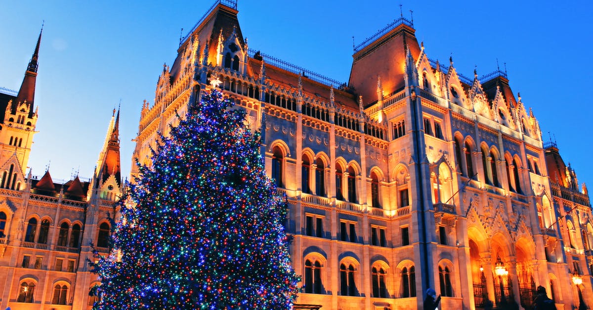 minecraft world illumination bug - Brown Concrete Building With Green Christmas Tree