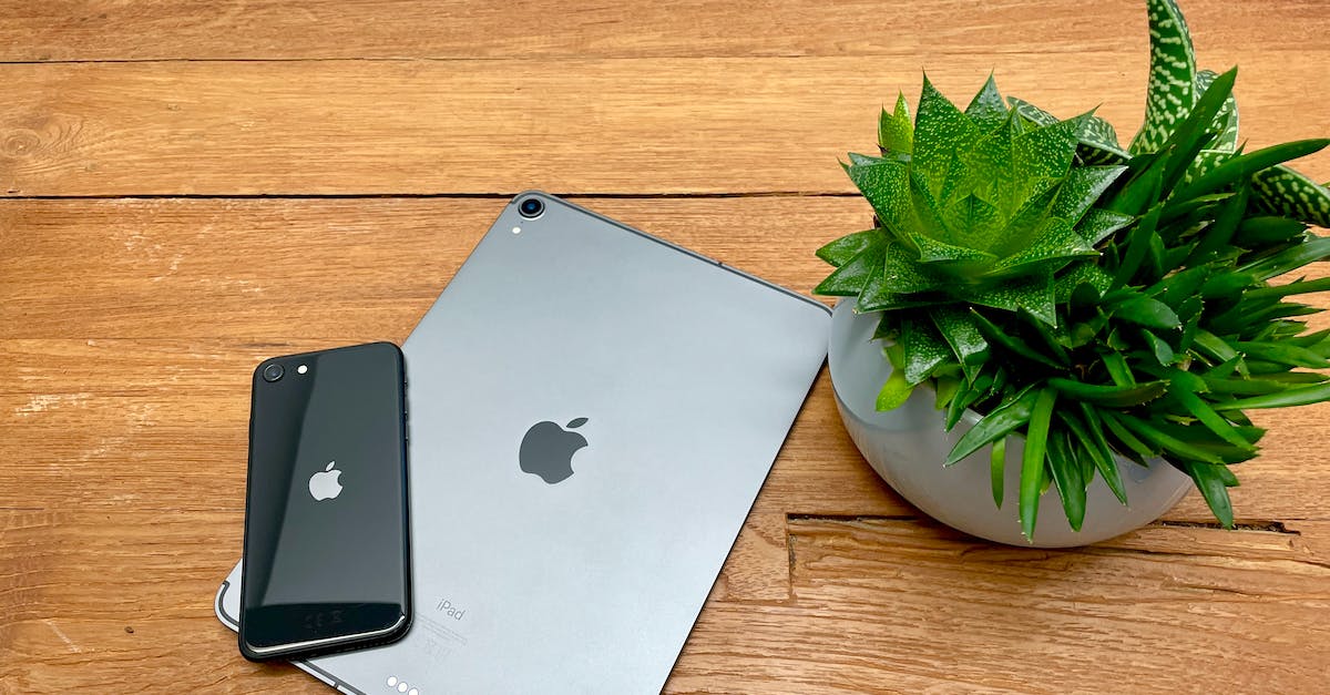 Minecraft world transfer nook to iPad - An iPad and iPhone on Wooden Table Beside a Cacti in White Pot