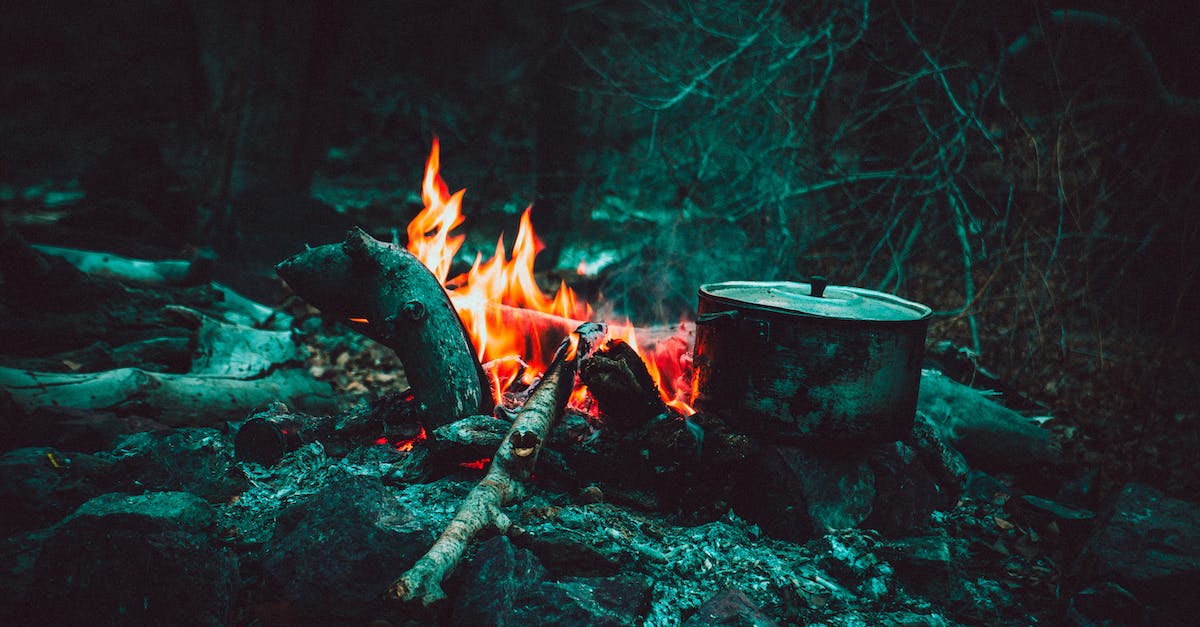 Minimum fire resist to counteract vampirism weakness - Cooking Pot Near Burning Wood