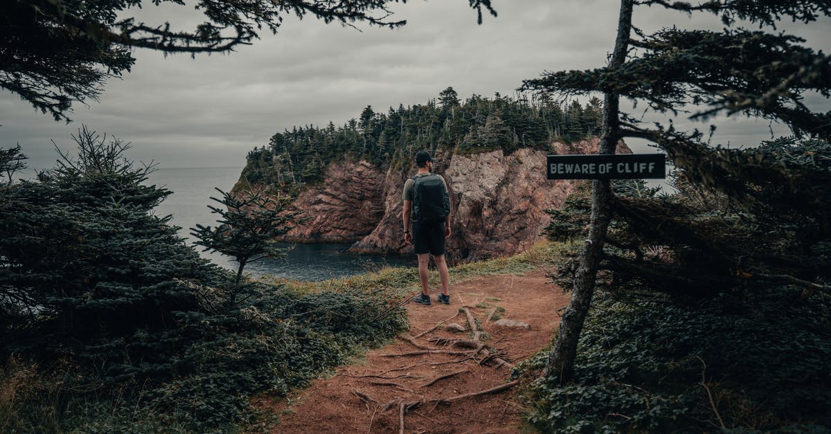 Minutemen wandering in the wastes? - Free stock photo of conifer, dawn, evergreen