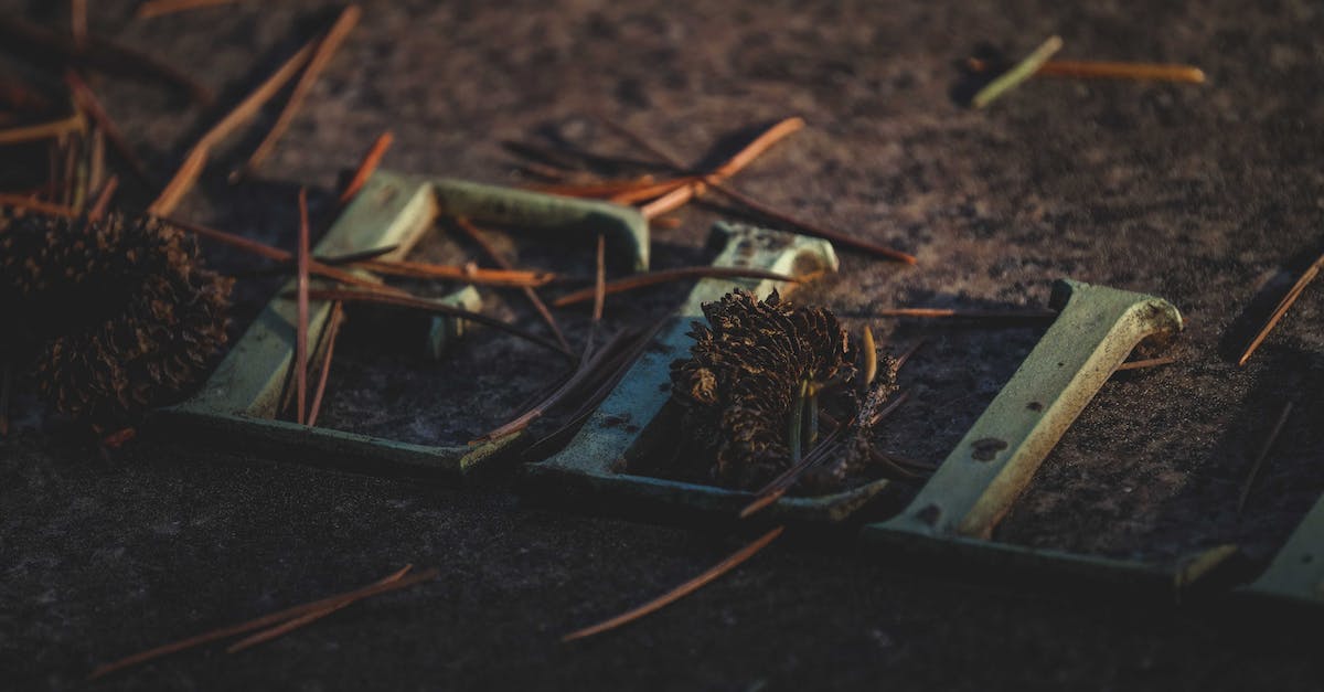 Missing the 5th key fragment of Fairel's Tomb - From above closeup of dry wooden sticks and leaves fallen on tombstone with metal letters in graveyard on autumn day
