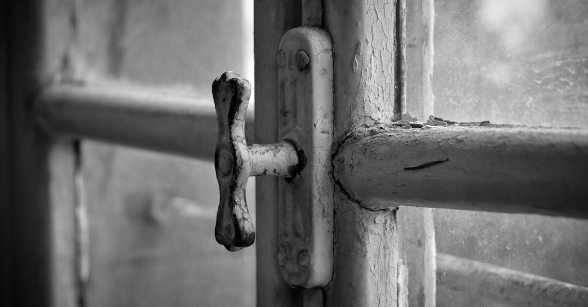 Mission five of MSD, any hint how to handle it? - Close up of a Window Handle