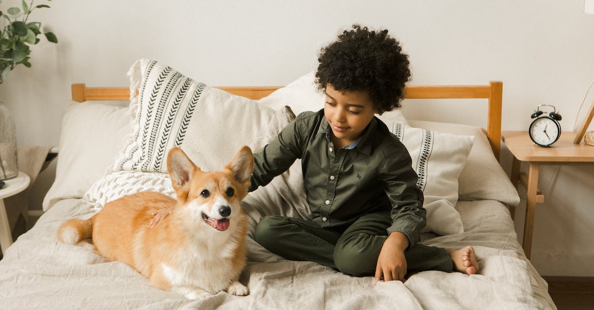 Mix pet pal with know-it-all - Boy and a Dog Sitting on a Bed
