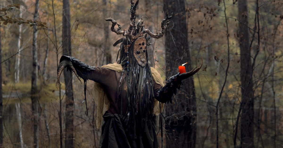 Monster hunter: influence of armor size - Woman in Black and White Dress Holding Red Rose