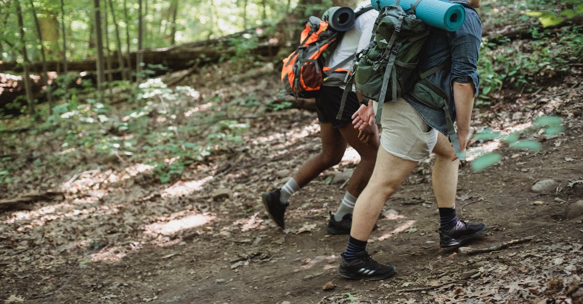More efficient way to gather ripened mushrooms? - Traveling diverse males walking in forest