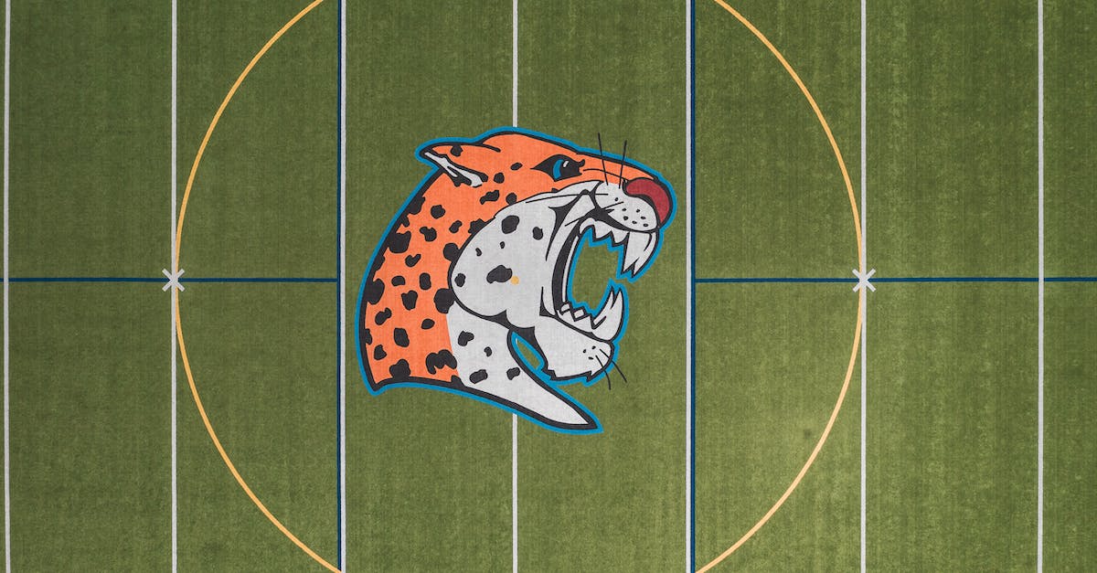 More than one character on Skyrim - A Tiger Character on the Middle of a Green Field More than one character on Skyrim - A Tiger Character on the Middle of a Green Field