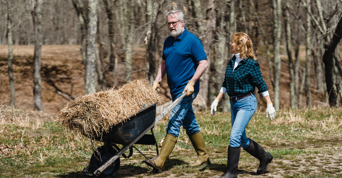 Most efficient way to farm festive drinks - Full body of concentrated mature man and woman carrying cart with dry hay while walking together along rural path in countryside on sunny day Most efficient way to farm festive drinks - Full body of concentrated mature man and woman carrying cart with dry hay while walking together along rural path in countryside on sunny day