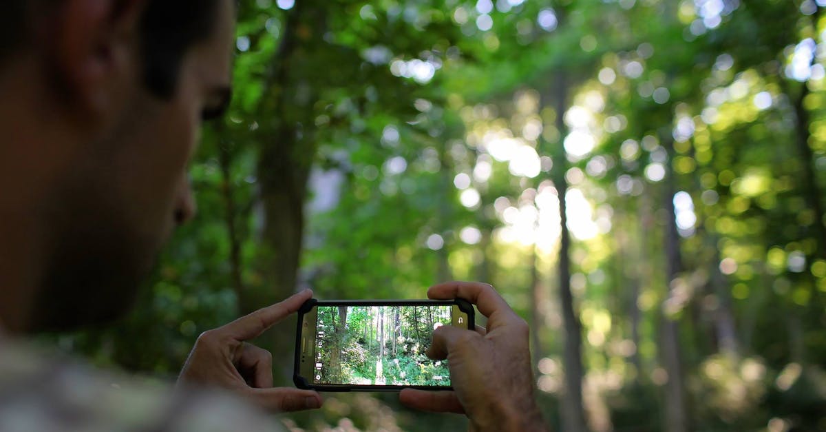 Multiplayer. Guy shoot at me. Misses. I die? - Crop man photographing forest on smartphone