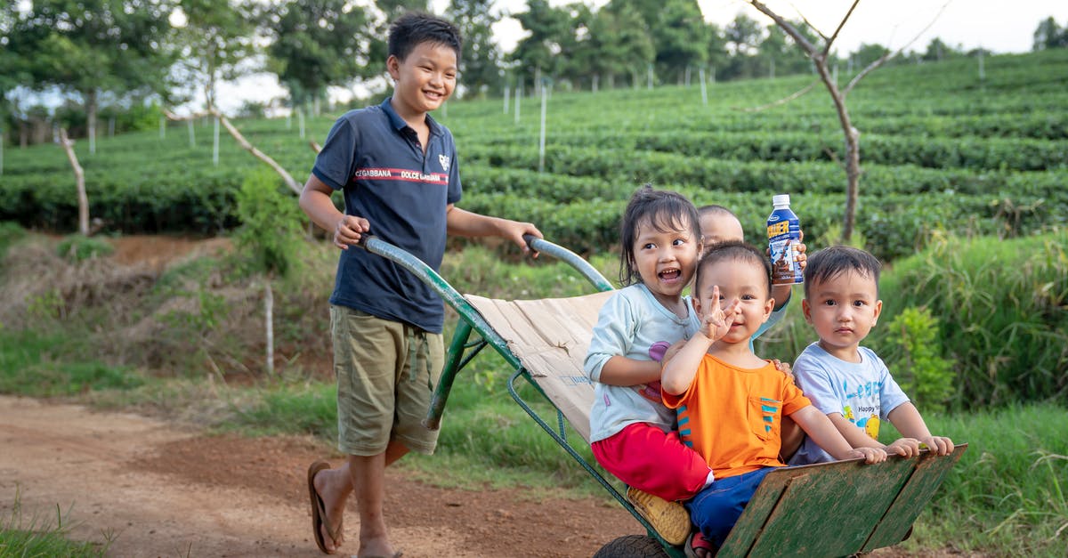 Multiple buttons having the same internal ID - Funny Asian toddlers having fun while brother riding metal wheelbarrow on rural road in green agricultural plantation