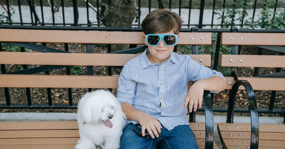 My companion does nothing in battle. Why? - Man in Blue and White Checkered Dress Shirt Sitting on Brown Wooden Bench Holding White Long My companion does nothing in battle. Why? - Man in Blue and White Checkered Dress Shirt Sitting on Brown Wooden Bench Holding White Long