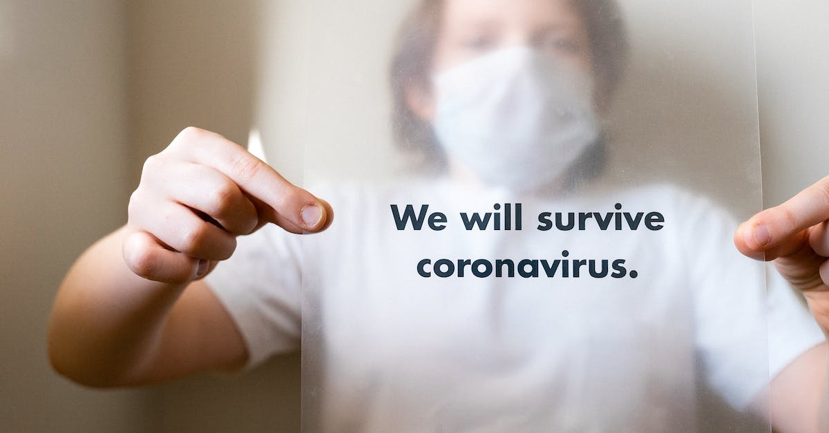 My DSi goes blank after the health and safety message - How can I fix it? - Man in White Crew Neck T-shirt Holding A Slogan On Coronavirus 