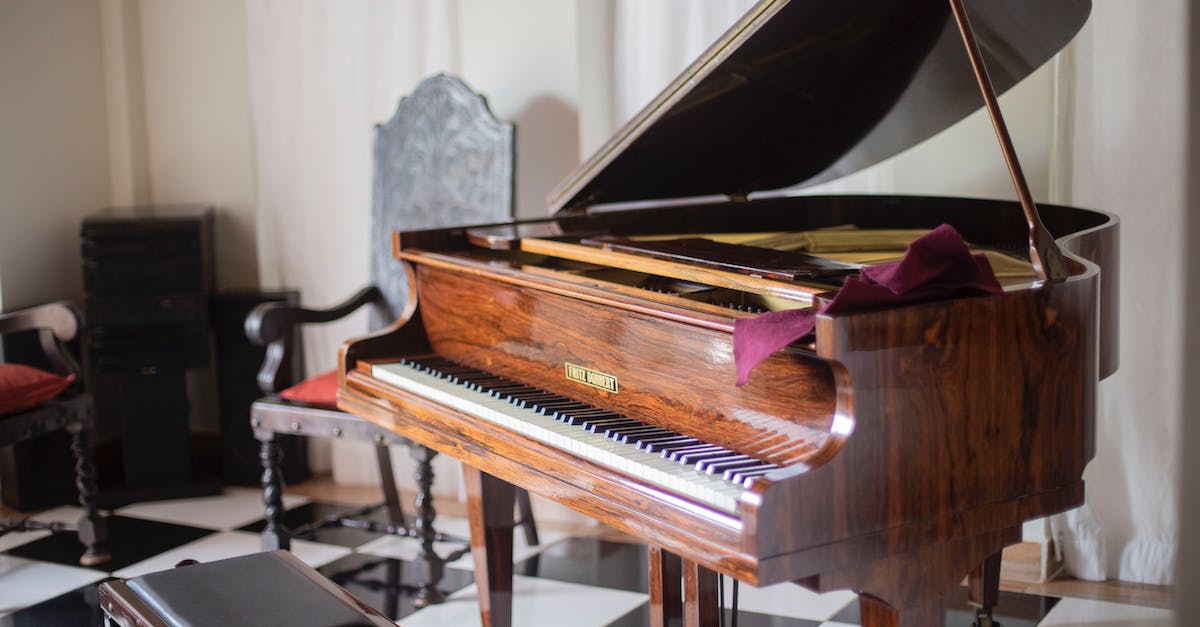 My Ebony ores haven't respawned, how come? - Brown Grand Piano With Chair My Ebony ores haven't respawned, how come? - Brown Grand Piano With Chair