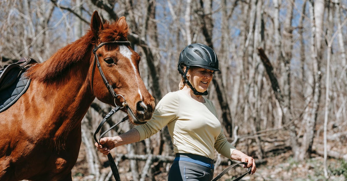 My horse died - do I have to buy another? - Free stock photo of adult, fall, girl