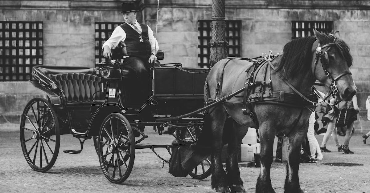 My horse was transported into the Nether - Monochrome Photo of Man in Carriage