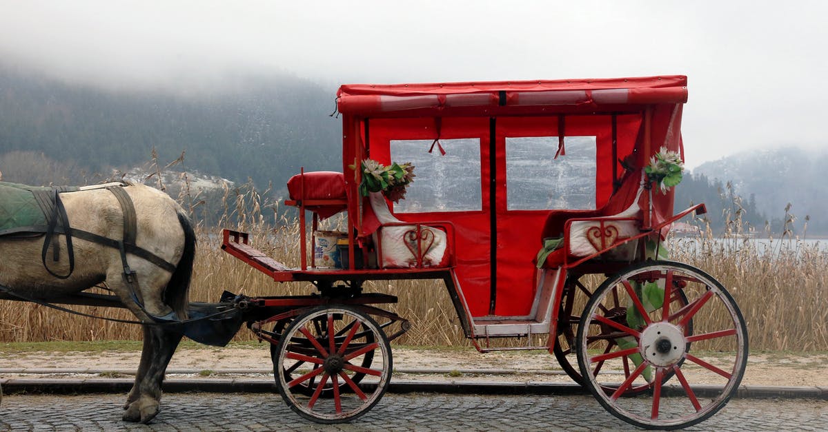 My horse was transported into the Nether - Red and White Horse Carriage on Road My horse was transported into the Nether - Red and White Horse Carriage on Road