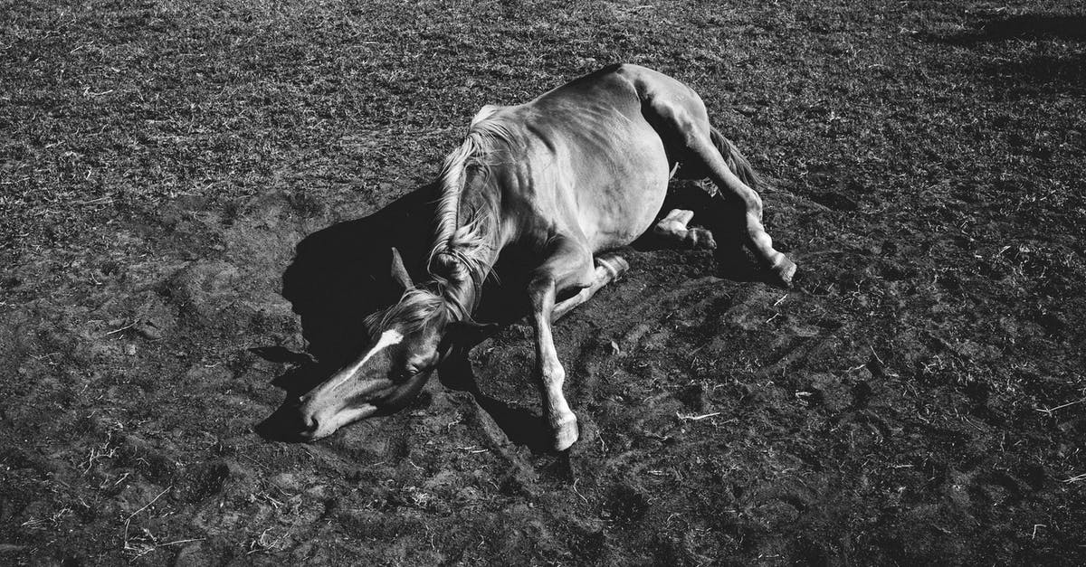 My husband keeps dying - Sick horse