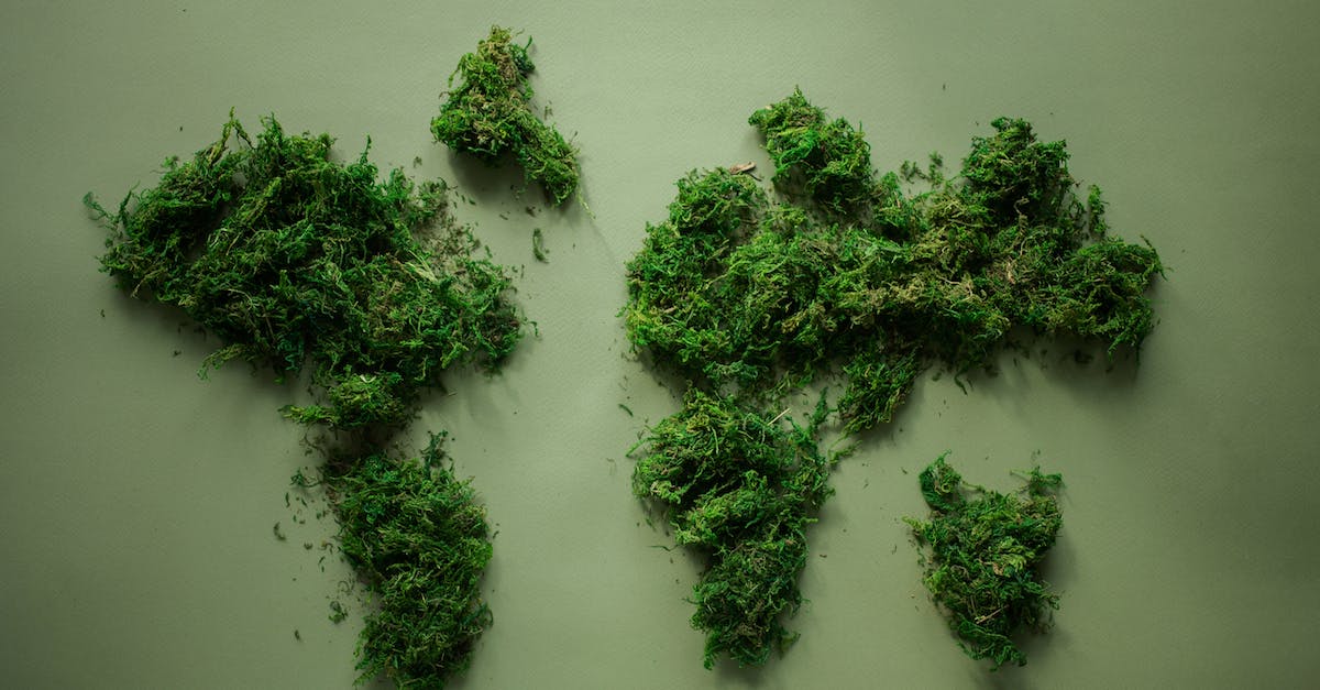 My Map Wont Grow - World map made of green plants