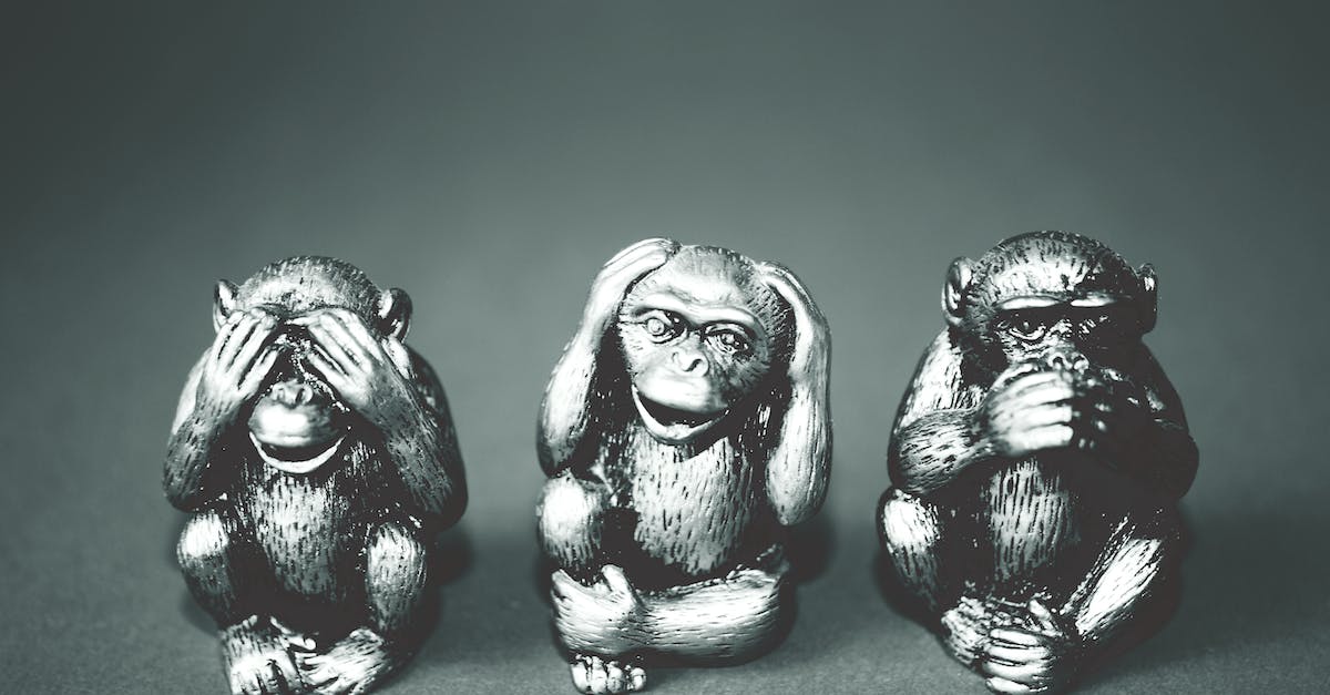My monkeys are escaping - Grayscale Photography of Three Wise Monkey Figurines